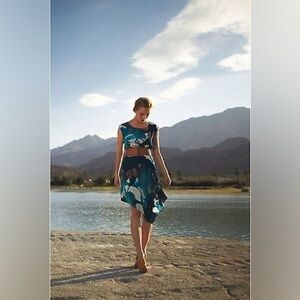 Anthropologie Coquille Magnified Corrolla Silk Shift Dress size 4